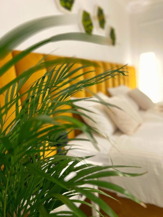 Studio 118 - A Luxury Place,10Min Walk To City Center Temešvár Exteriér fotografie